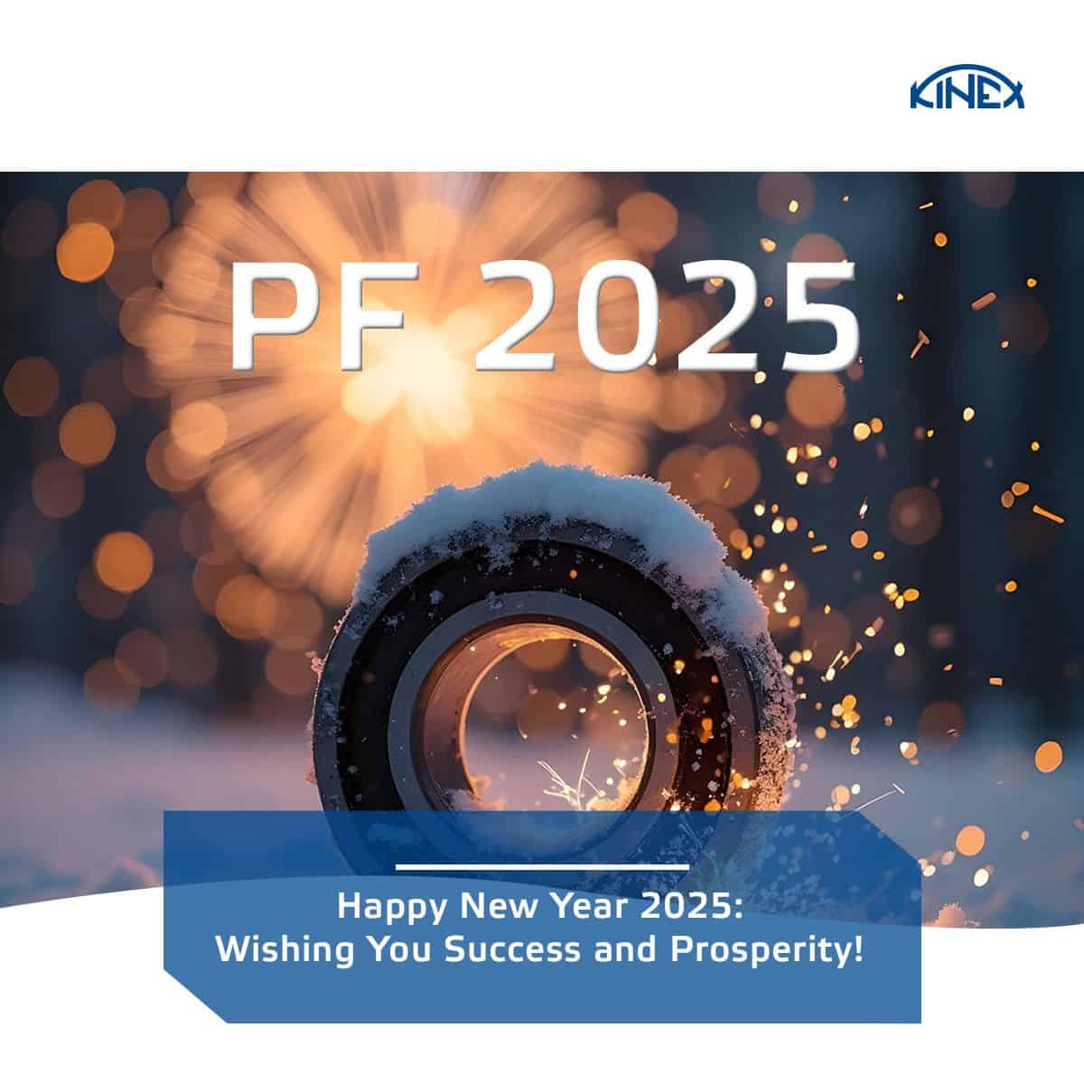 Happy New Year 2025: Wishing You Success and Prosperity!